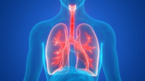 Chọc hút và dẫn lưu màng phổi